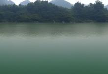 西湖龙井水温