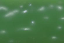 岫玉黄白玉