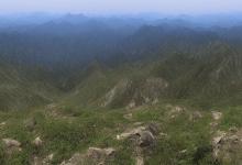 蒙山银峰