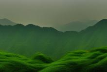 西湖龙井雨前明前