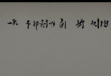 太平猴魁斤
