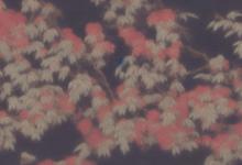 永川秀芽的价值