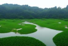 西湖龙井开区