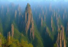 黄山毛峰特级一等