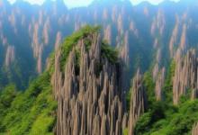 黄山毛峰特级怎么辨别