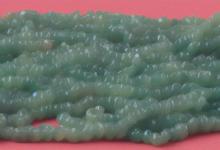 和田量墨玉