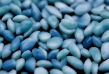 青花籽料和墨玉籽料