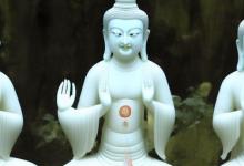 白玉菩提子怎么辨别真假