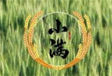 小满这天吃什么菜小满节气应该吃啥