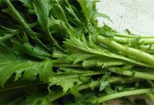 雪里红的营养价值雪里红有什么营养成分