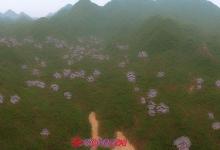 且末县墨玉