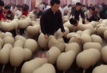 和田青玉与羊脂玉哪个好