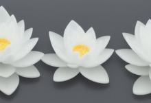 白玉莲花