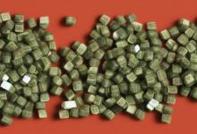 墨玉药用拿种好
