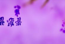 有紫罗兰寓意的中文名字