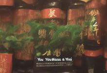 墨玉和翡翠那个值钱