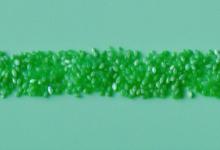 带翠墨玉青花籽料