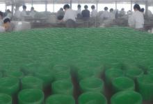 泰山墨玉产地