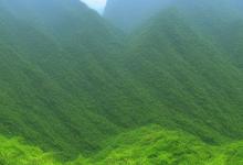 白玉山流水 牌