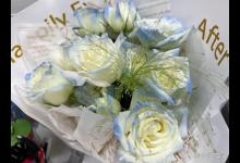 冰蓝玫瑰的花语是什么？探寻不同花色的含义！