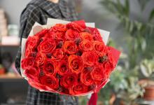 33朵玫瑰花的寓意和花语