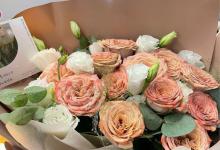 卡布奇诺玫瑰花语是什么