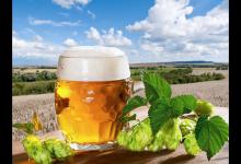 蟹爪兰用啤酒浇好不好？可以促进生长吗