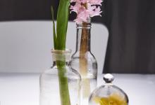 水培风信子的正确浇水方法，一定要掌握哦！