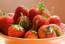 草莓什么时候种植最好，几月份种草莓最合适