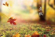 2023立秋后还会有高温天气吗