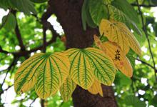 2023立秋后是不是雨水就少了