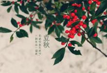 立秋晴天好还是雨天好