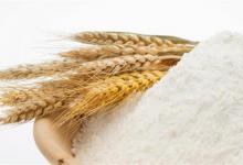 怎么判断全麦面粉真假全麦面粉有什么功效