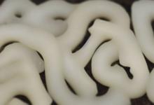 白玉人参是什么