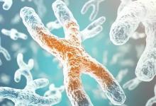 女子被诊断真两性畸形无法正常工作什么是两性畸形