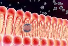 ​细胞膜的主要成分细胞膜由什么组成