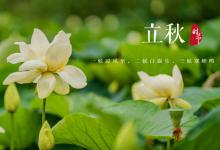 立秋以后还能晒背吗