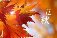 立秋后是不是就没有蚊子了