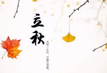 2023立秋后会有台风出现吗