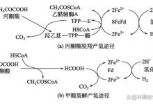 污泥厌氧消化制氢原理