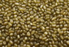 青白玉籽料青白玉资料