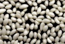 黑皮白玉籽料