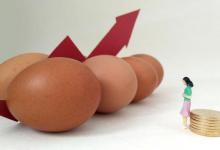 为何全国多地鸡蛋价格涨至5元以上