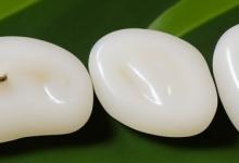 白玉菩提和菩提根原籽