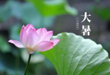 处暑和大暑哪个更热