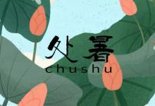 立秋凉快还是处暑凉快