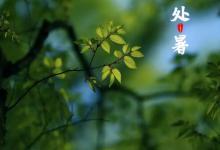 2023处暑天气有什么特点