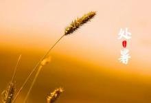 2023年什么时候处暑