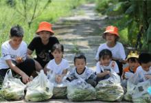 为何各地亲子游、乡村游、避暑游受热捧