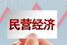 ​税务部门哪些措施并举确保政策红利直达民营经济主体